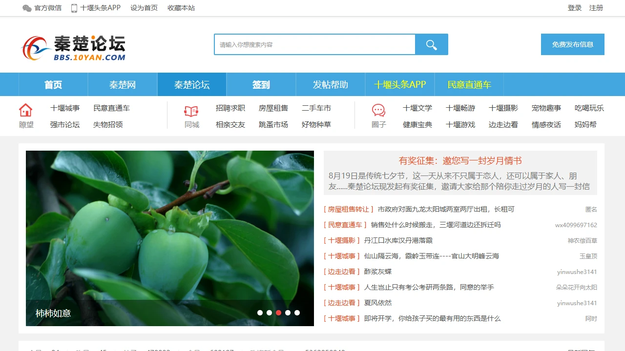 秦楚论坛